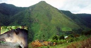 Santuario Nacional Tabaconas‑Namballe